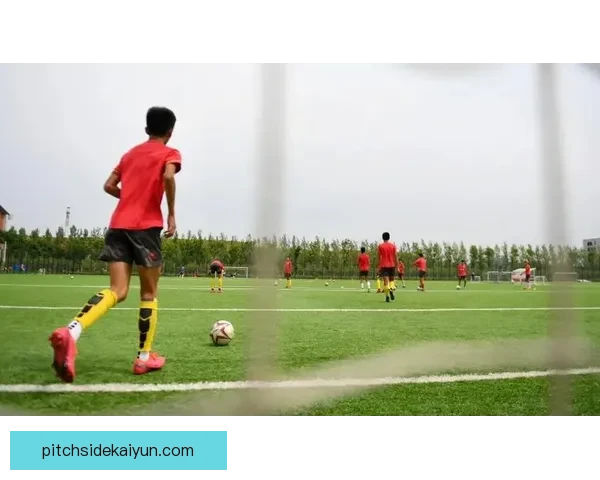 南美足球发展挑战：提升青训质量与基础设施亟需关注